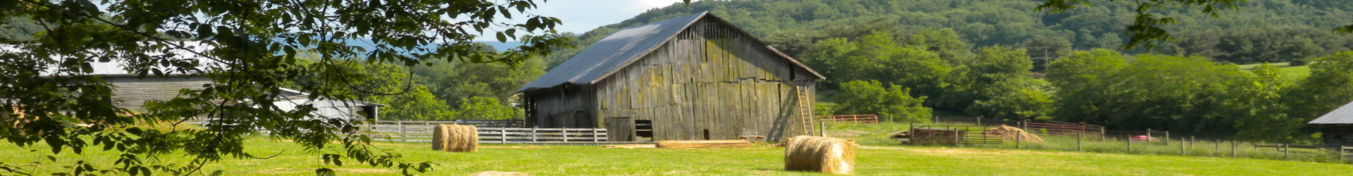 Old Barn In A Hayfield